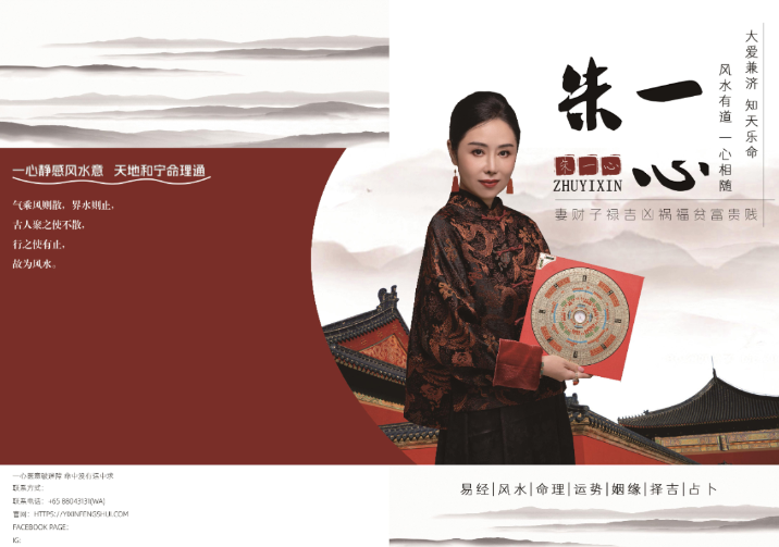 Master Yixin's Expertise